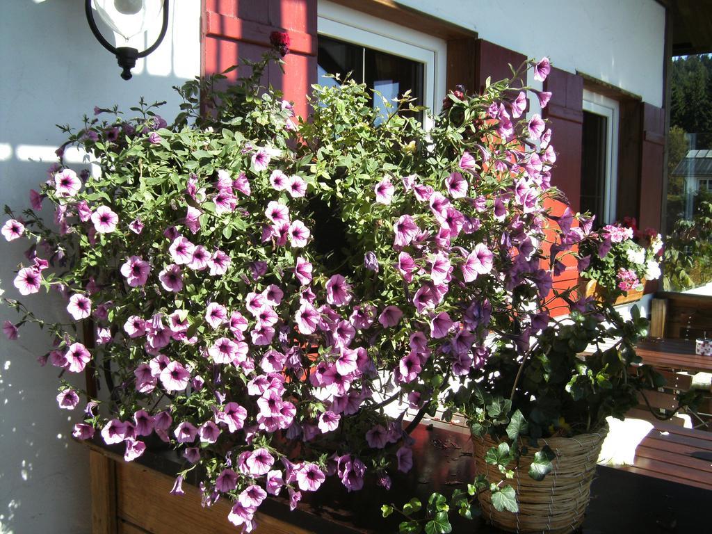Homestay Ubytovani Maxa Spicak