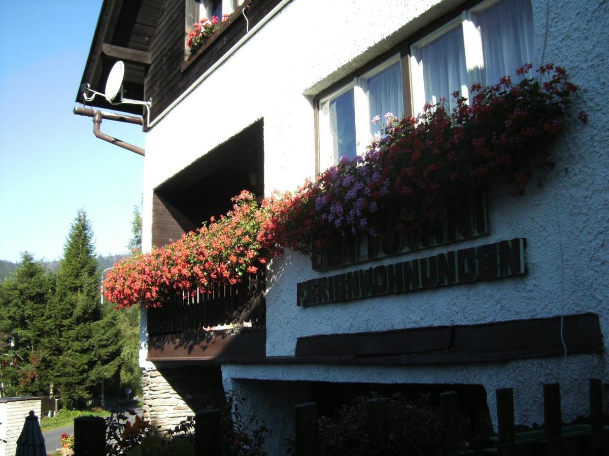 Homestay Ubytovani Maxa Spicak